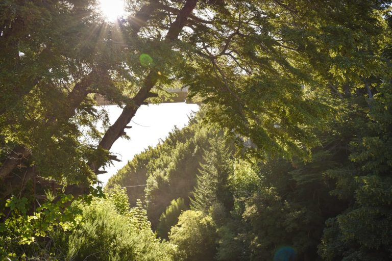 Embracing the Great Outdoors: A Journey of Self-Discovery